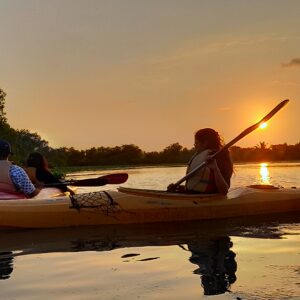 Kayaking in Kochi